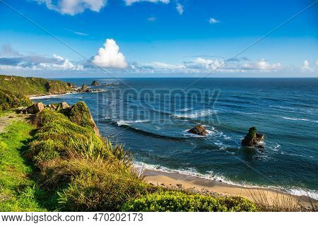 The Scenic Walk That Hugs The Rugged Coast At Cape Foulwind Westport You Pass Beaches Coves And A Se