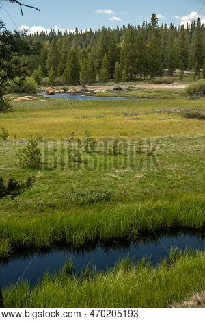 Tuolmne River Flows As Just A Small Creek Along Tioga Road In Yosemite