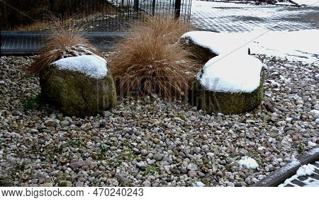 Ornamental Flower Bed With Perennial Pine And Gray Granite Boulders, Mulched Bark And Pebbles In An 