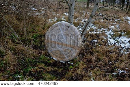 Outdoor Archery In The Meadow. An Archer Shoots Arrows Into A Natural Straw Target. It Is Wrapped In