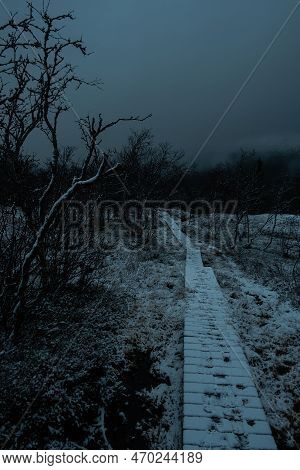 Dark Moody Foggy Landscape, Path In Norwegian Mountain To The Top Of Rogne At Night