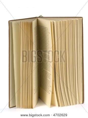 Pagine del libro
