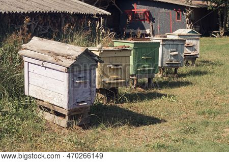 Row Of Old Beehouses In Home Garden. Colored Wooden Boxes For Beekeeping. Homemade Honey Production,