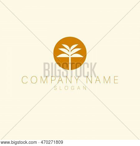 Vector Logo Template With Palm Tree In Circle - Abstract Summer And Vacation Icon And Emblem For Vac