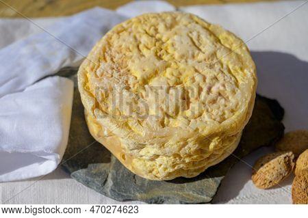 Tasting Of Local Portuguese Matured Cheese Queijo Serpa,  Setubal Area, Portugal