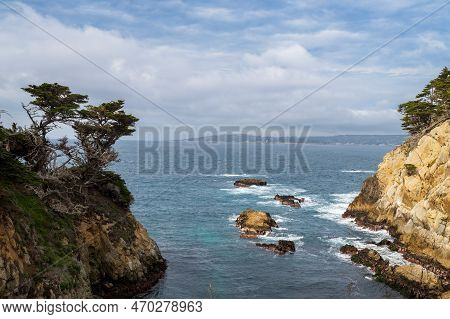 Ocean View At Point Lobos State Natural Reserve, Carmel, California, Usa, Featuring The Old Cypress 
