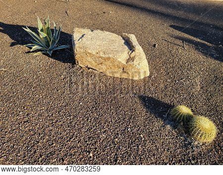 Desert Style Xeriscaped Front Yard With Picturesque Boulder, Colorful Agave And Thorny Barrel Cacti 
