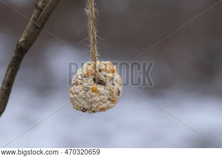 Homemade Bird Feeder.a Feeder Of Grain And Peas Hangs From A Tree In A Winter Park.