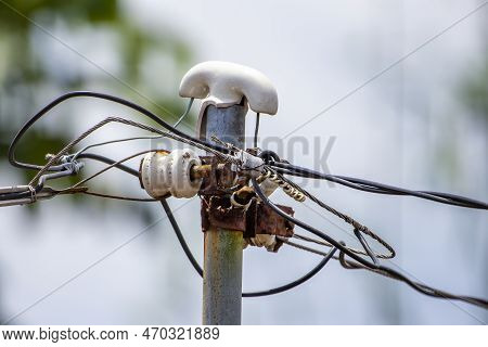 A Pair Of Estrildidae Sparrows Or Estrildid Finches Hiding Behind A Power Pole To Escape The Harsh W