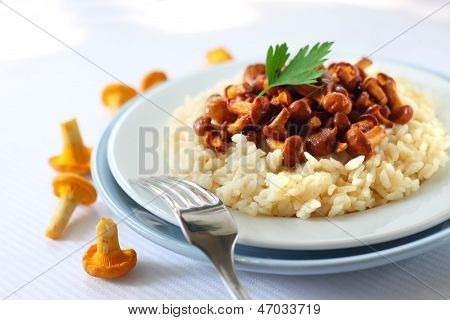 Risotto z Pieprznik jadalny