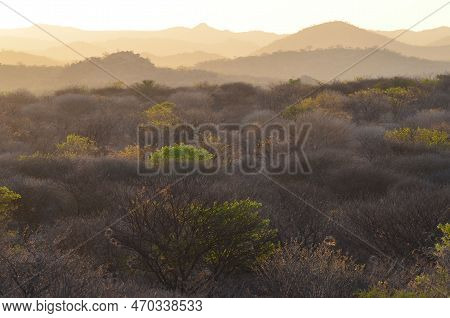 Beautiful Landscape Of The Woodlands Near Khorixas, Namibia, Africa
