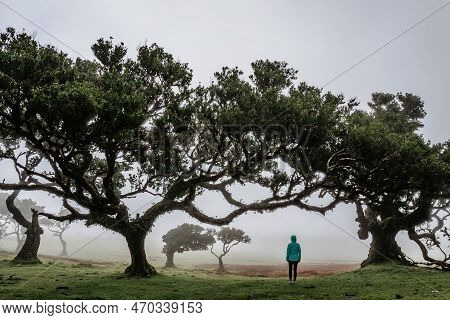 Girl Standing Under Old Laurel And Cedar Trees In Fanal Forest,madeira,portugal.protected Landscape,