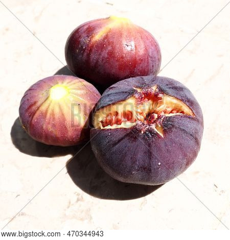 Fig Or Fig Tree, Or Common Fig Tree, Or Ficus Carica Is A Subtropical Deciduous Plant Of The Genus F