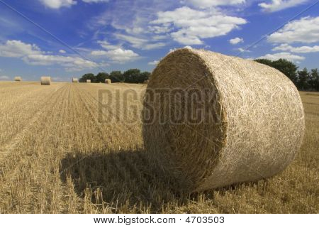 Ernte