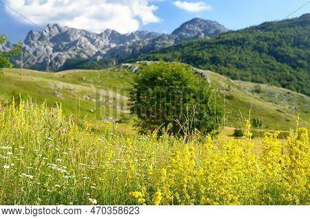 Scenic Landscape Of Mountain Valley In European Alps. Stunning View Of Mountains And Valleys In Suns
