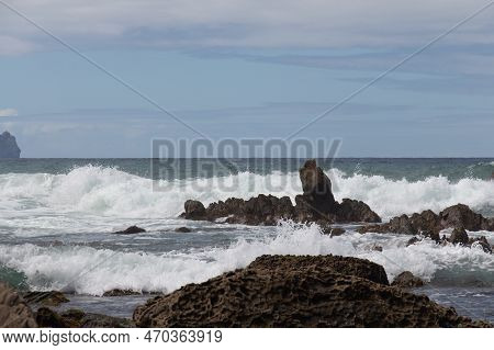 The View Of Marine Landscape. Rocks And Sea Waves In A Sunny Day. Mangawhai Cliff Walk, New Zealand.