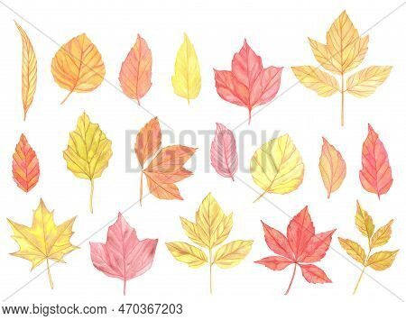 Watercolor Colorful Autumn Leaves Set. Hand Painted Illustration