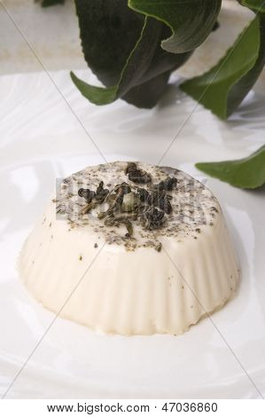 Sencha Panna Cotta