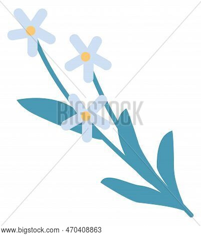 White Blossom Branch. Decoative Floral Color Element Isolated On White Background