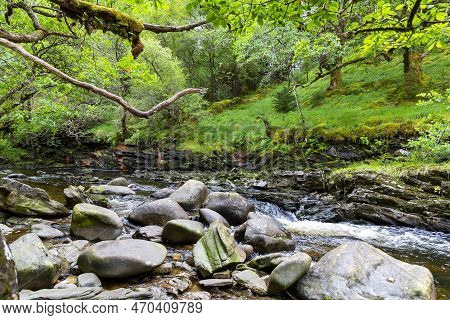 Wonderful Natural Landscape At Strone Hill Forestry