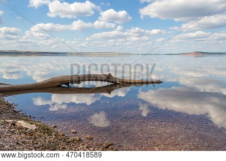 A Tree Branch Sticking Out Of The Water, Red Hill With Forests On Background