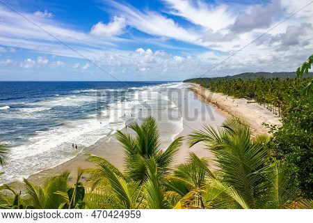 Trees And Waves At Itacarezinho Beach, Itacare, Bahia, Brazil