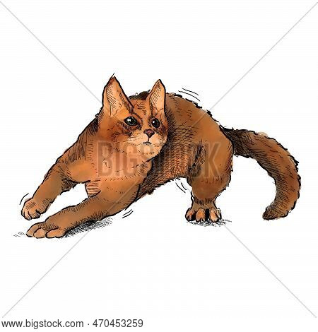 Cute Playful Cat In Move Hand Drawn With Watercolor Style