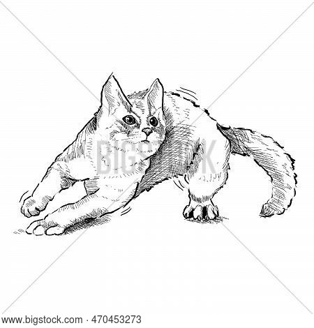 Cute Playful Cat In Move Hand Drawn With Lineart Style