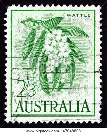 Francobollo Australia 1959 Golden Wattle, albero