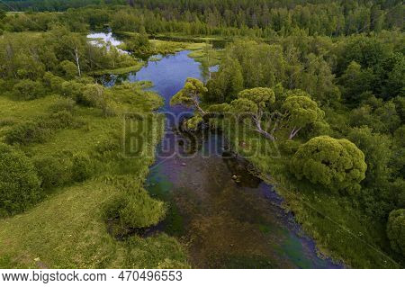 Over The Backwaters Of The Izvarka River (aerial View). Leningrad Region, Russia