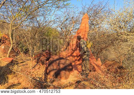 Tourists Hike Towards Waterberg Plateaus. - 09 October 2018: Tourists Hike Towards Waterberg Plateau