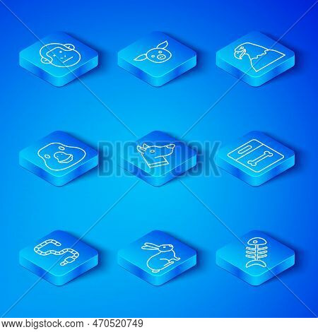 Set Line Worm, Dog Head, Rabbit, Bone, Eagle, Goose Bird, Monkey And Fish Skeleton Icon. Vector