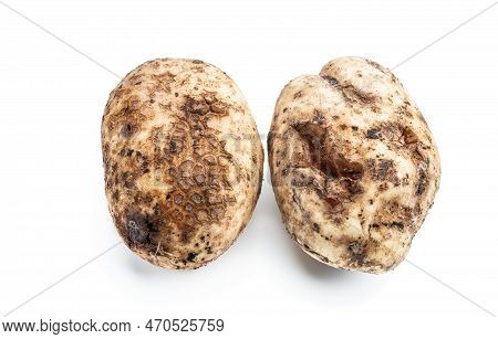 Diseased  Potato Tubers Isolated On White Background