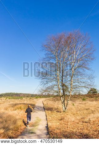 Woman Running On The Sand Path Of Drents Friese Wold National Park, Netherlands