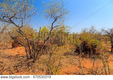 Waterberg Plateau National Park, Kalahari, Otjiwarongo, Namibia, Africa. Beautiful African Landscape