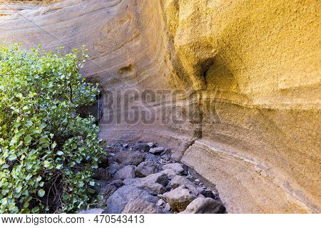 Escape To The Nature - Slot Canyon Wall With The Bushes On The Left Side.