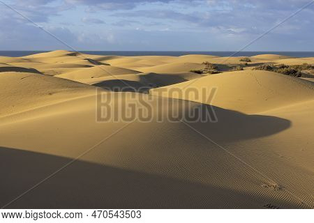 Golden Hour At Maspalomas Dunes