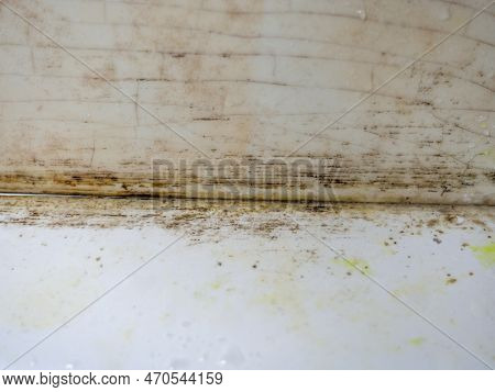 Plumbing. Mold In The Bathroom. Black Dots Of Mold And Yellow Plaque. Black Mold Dirt On Tiles. Requ
