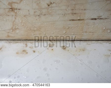 Plumbing. Mold In The Bathroom. Black Dots Of Mold And Yellow Plaque. Black Mold Dirt On Tiles. Requ