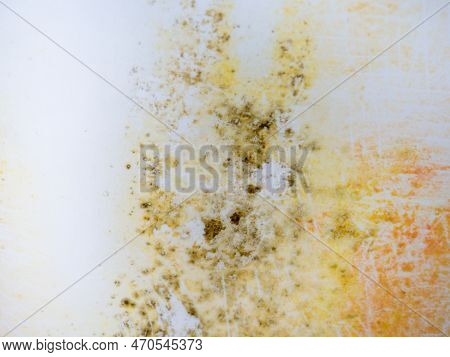 Mold On Bathroom Enamel. Black Dots Of Mold And Yellow Plaque. Requires Cleaning. Before Using Clean