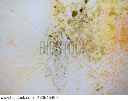 Mold On Bathroom Enamel. Black Dots Of Mold And Yellow Plaque. Requires Cleaning. Before Using Clean