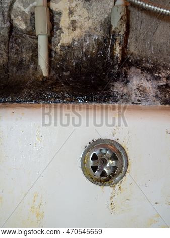 Bathroom Drain Dirty. Siphon Element. Plumbing. Mold On Bathroom Enamel. Black Dots Of Mold And Yell