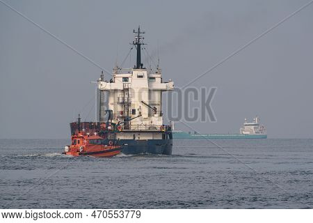 Maritime Transport - Pilot Boat And Freighters In The Port Roadstead