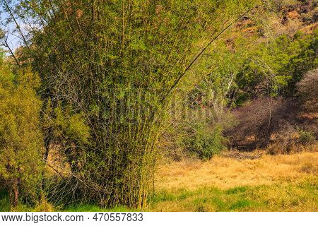 Waterberg Plateau National Park, Kalahari, Otjiwarongo, Namibia, Africa. Beautiful African Landscape