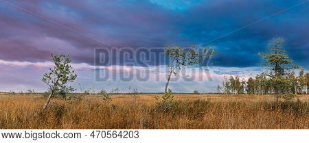 Miory District, Vitebsk Region, Belarus. Yelnya Nature Reserve. Yelnya Reserve Or Elnya Is Biggest S