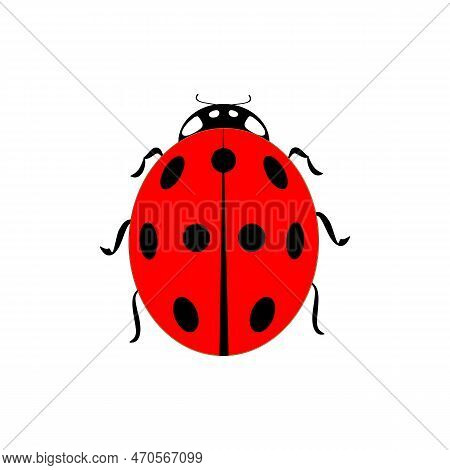 Ladybird Isolated. Illustration Ladybug. Cute Colorful Sign Red Insect Symbol Spring, Summer, Garden