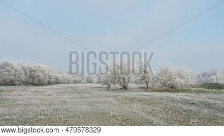 Landscape Panorama With Hawthorn Crataegus Monogyna In A Public Park Near Magdeburg In Germany On A 