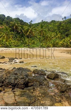 Rocks And Forest At Camboinha Beach