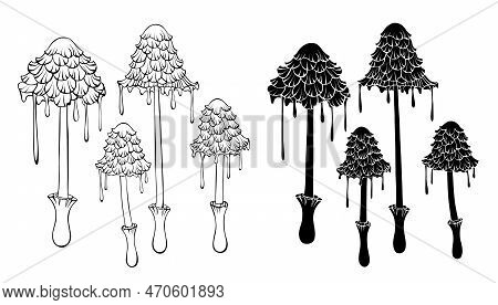 Set Of Silhouette And Contour, Isolated, Artistically Drawn Ink Mushrooms On White Background. Cotta