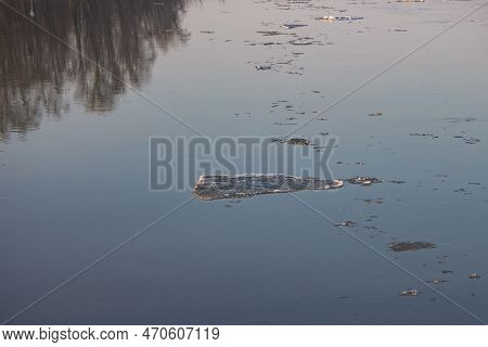 Spring Ice Drift On The River In Muddy Water Before High Water And Flood, Front And Background Blurr